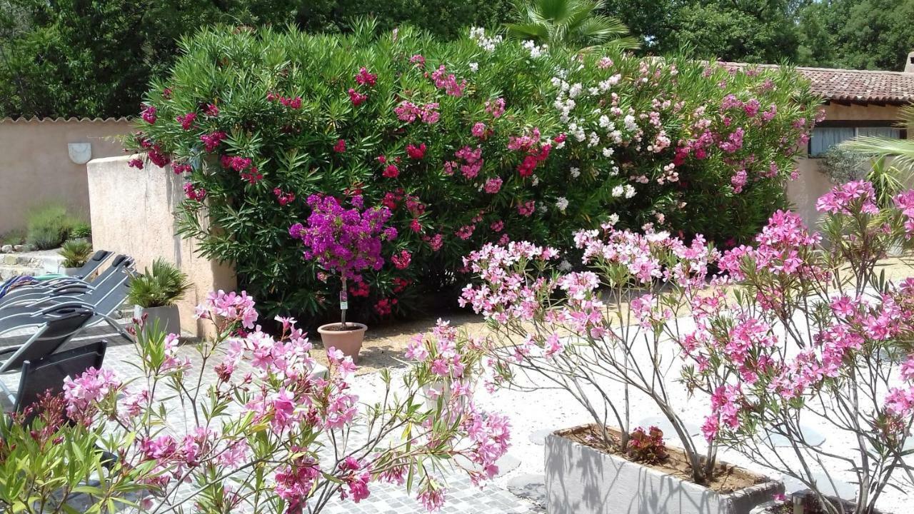 Le Mas Du Vieux Chene Saint-Paul-en-Foret Ngoại thất bức ảnh